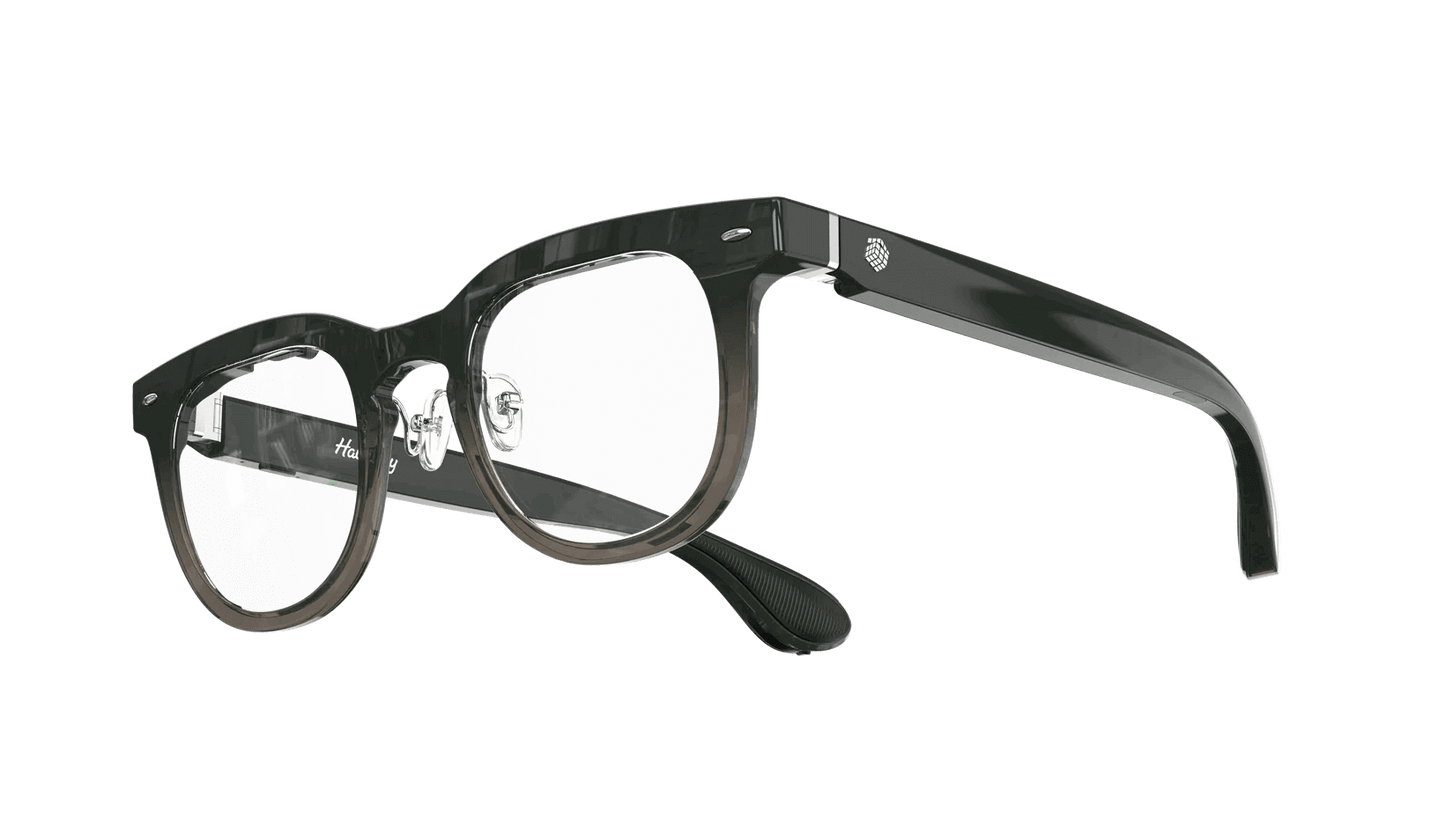 Halliday Glasses