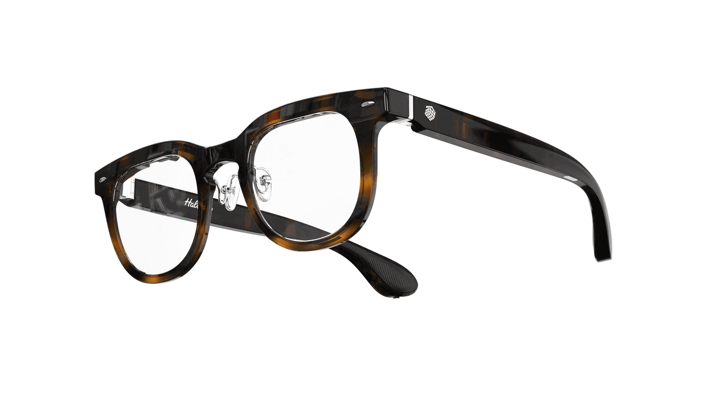 Halliday Glasses