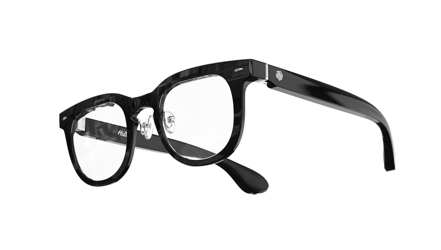 Halliday Glasses